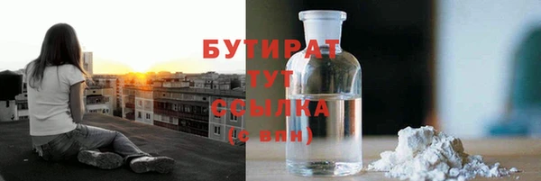 шишки Дмитровск