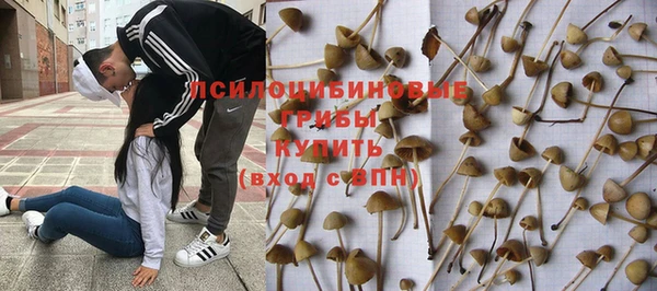 гашишное масло Гусев