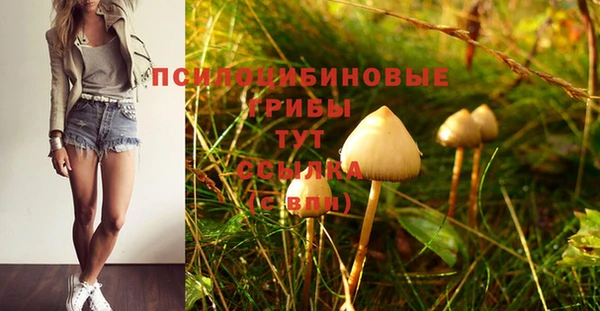 гашишное масло Гусев