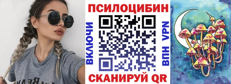 Галлюциногенные грибы Psilocybe  Завитинск 